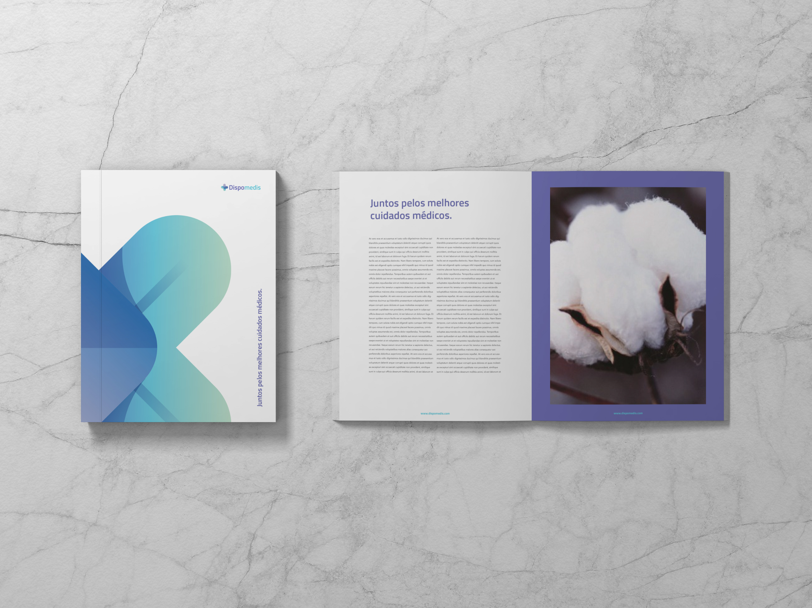 branding_dispomedis_by_tekna11